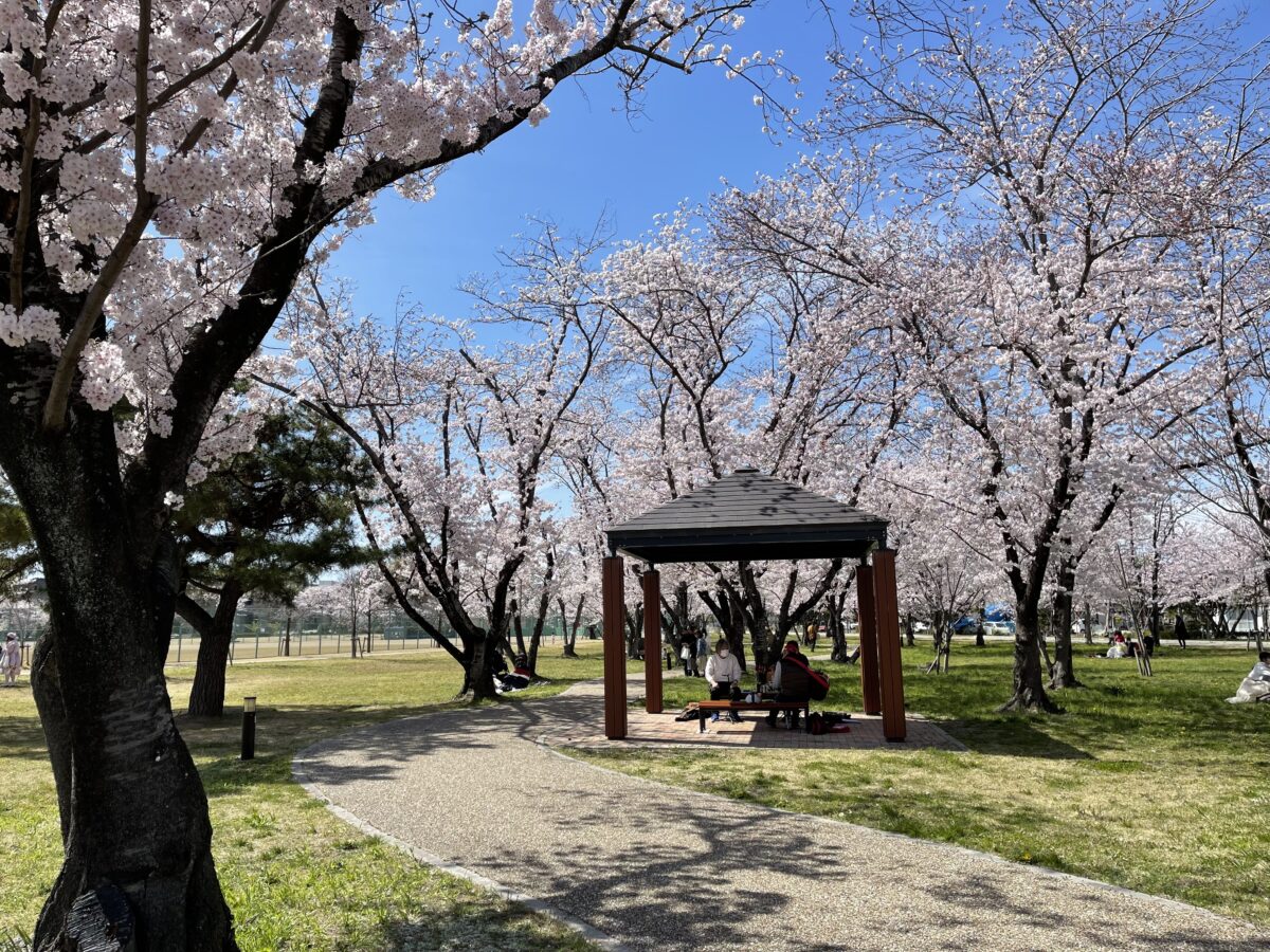 桜の森公園のパーゴラとベンチ