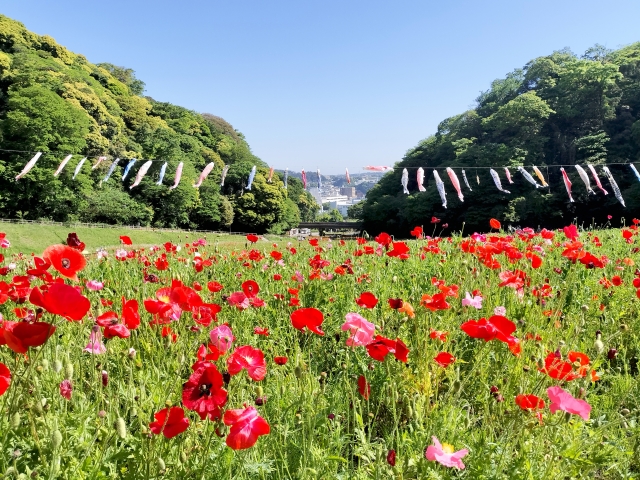 ゴールデンウィーク休業のお知らせ｜三重県鈴鹿市の外構工事 メイク・プラスター